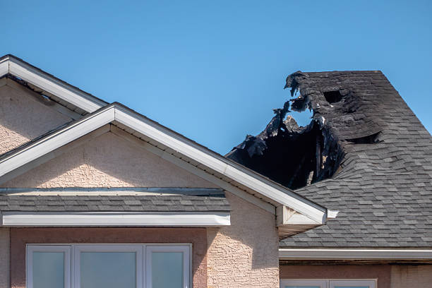 Top rated local Odor Removal specialists in Edgewater, FL